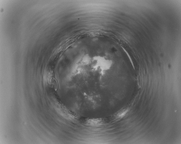 X0000057090139200509231659