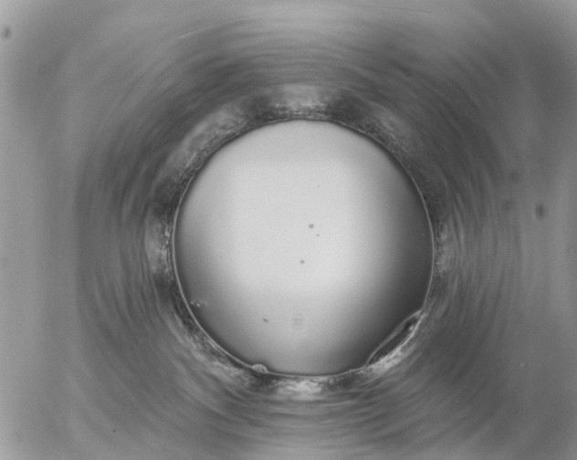 X0000057090140200509231659