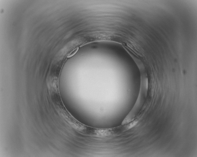 X0000057090141200509231659