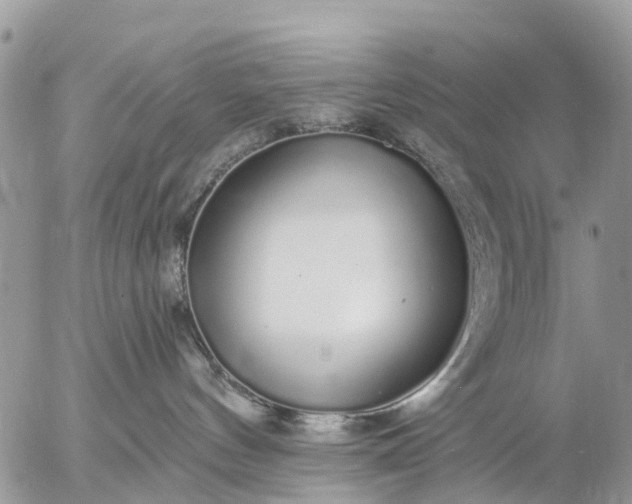 X0000057090144200509231659