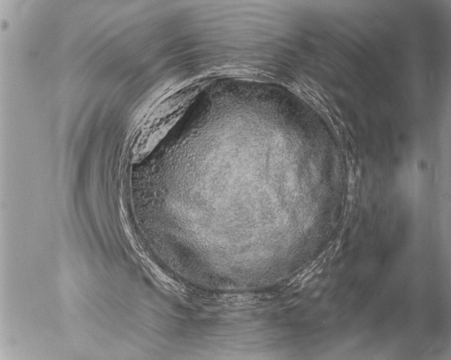 X0000057090145200509231658