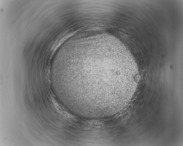 X0000057090146200509231658