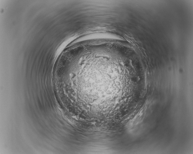 X0000057090147200509231659