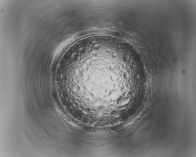 X0000057090149200509231659