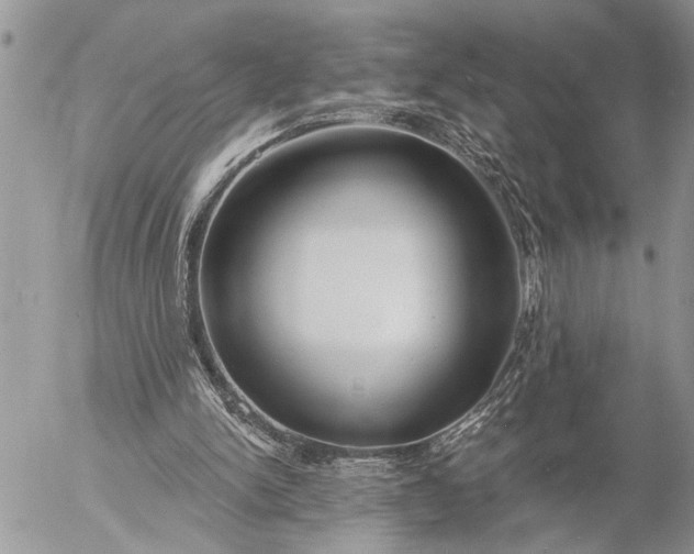 X0000057090150200509231659