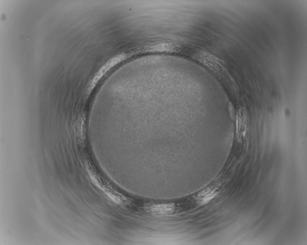 X0000057090156200509231659