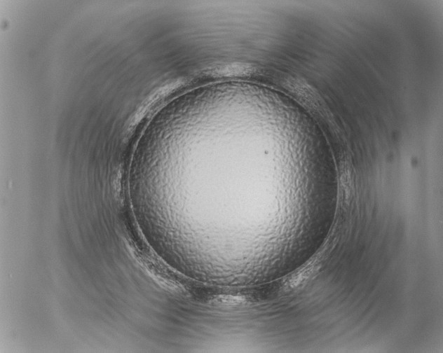 X0000057090159200509231659