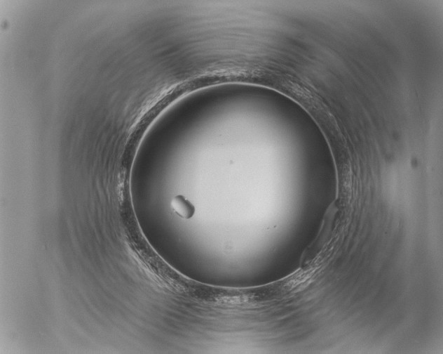 X0000057090160200509231659