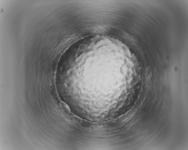 X0000057090161200509231659