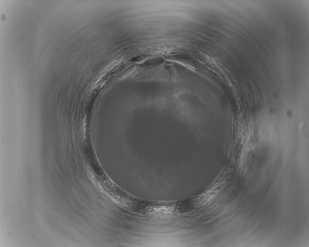 X0000057090163200509231659