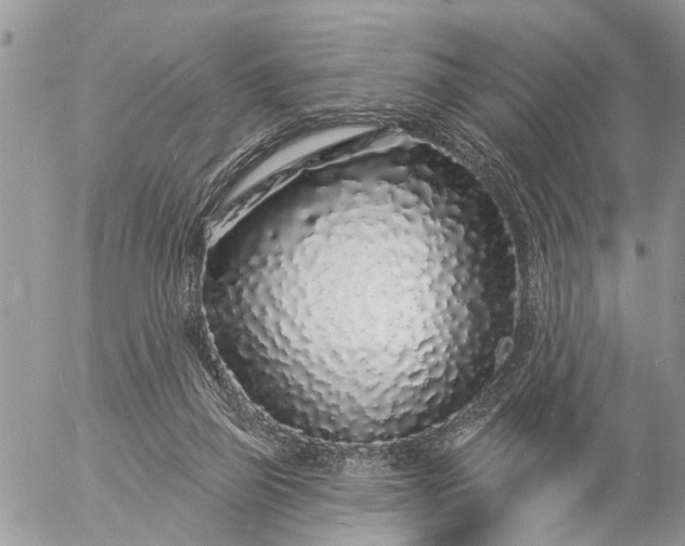 X0000057090165200509231659