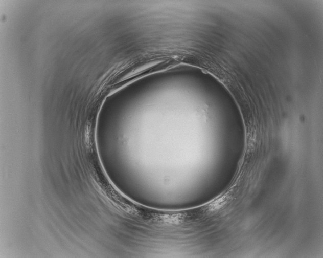 X0000057090166200509231659