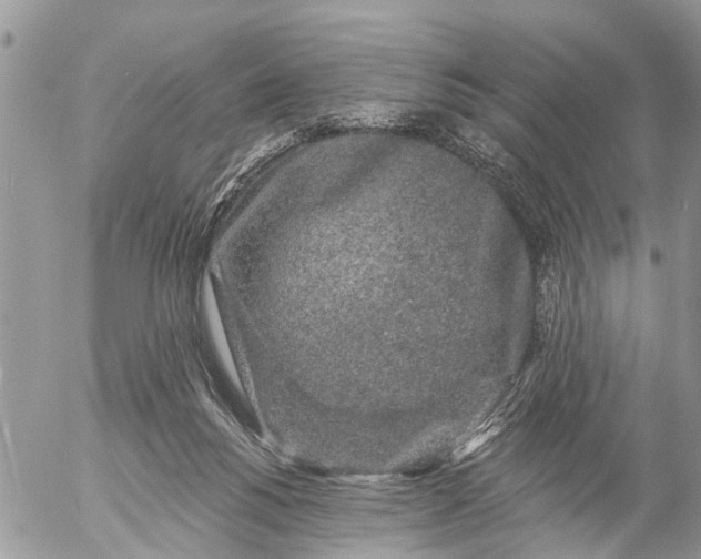 X0000057090168200509231659