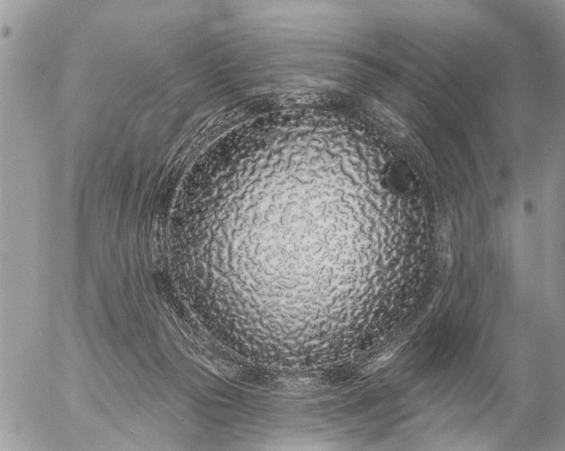 X0000057090169200509231659