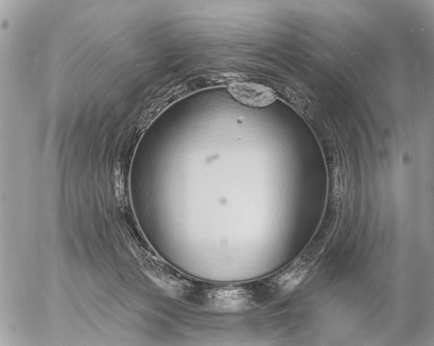 X0000057090173200509231659