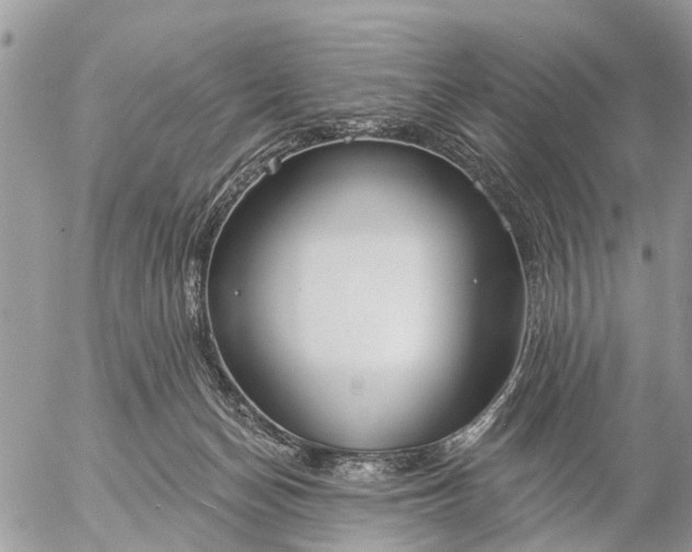 X0000057090174200509231659