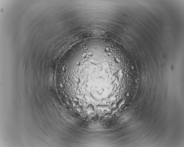 X0000057090177200509231659