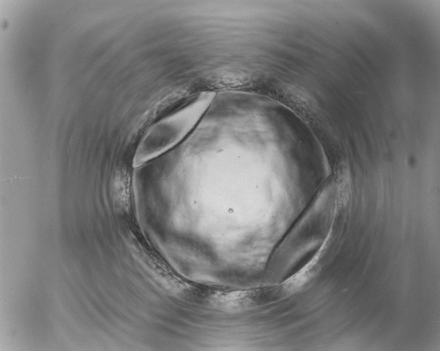 X0000057090186200509231659