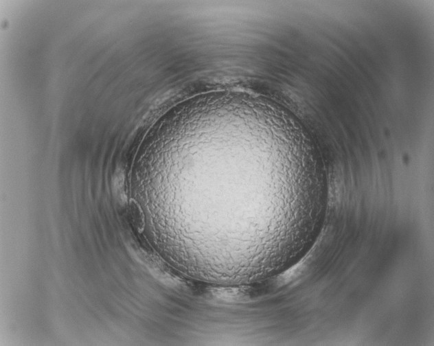 X0000057090187200509231659