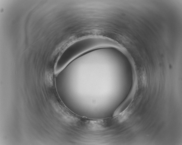 X0000057090188200509231659