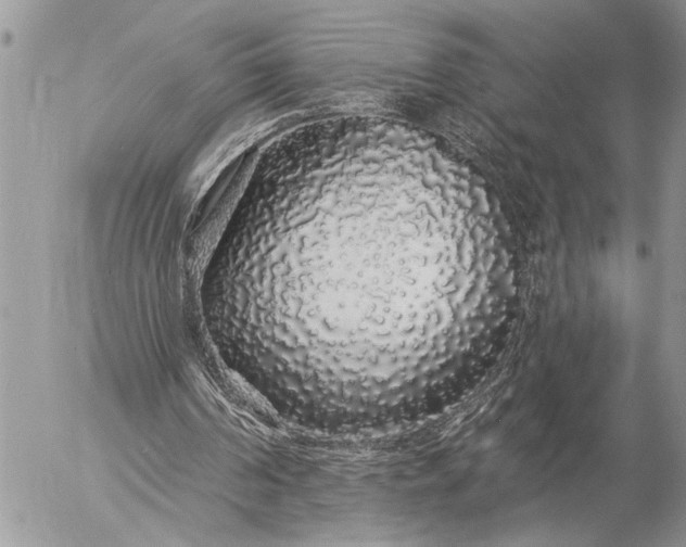 X0000057090194200509231658