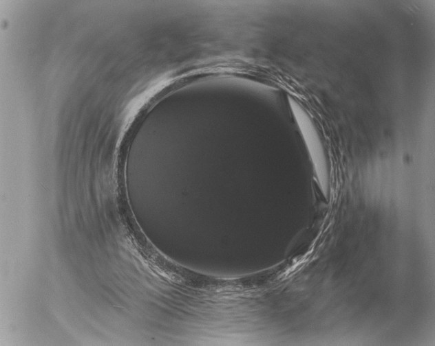 X0000057090200200509231658