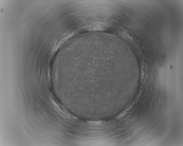 X0000057090202200509231658