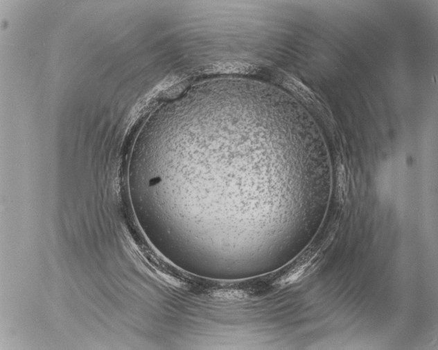 X0000057090203200509231658