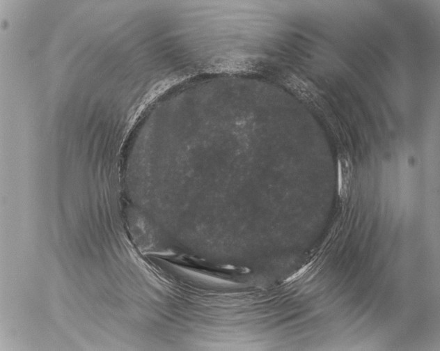 X0000057090204200509231658