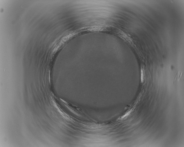 X0000057090205200509231658