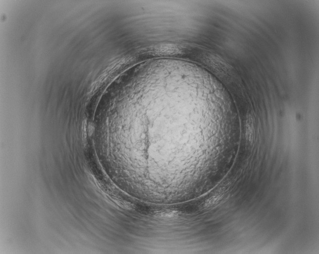 X0000057090206200509231658