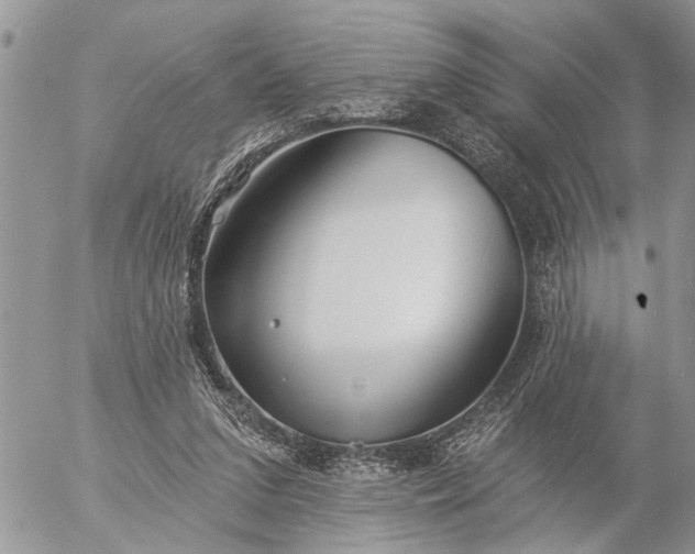 X0000057090207200509231658