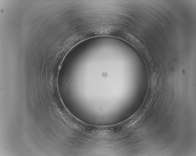 X0000057090209200509231658