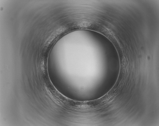 X0000057090212200509231658