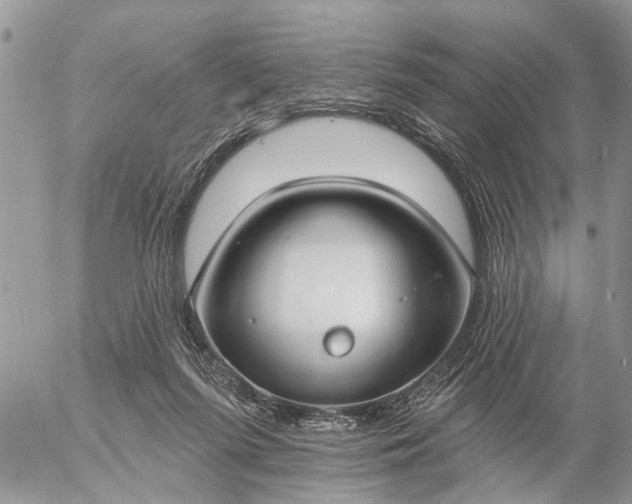 X0000057090215200509231658