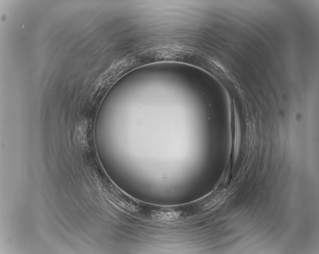 X0000057090217200509231658