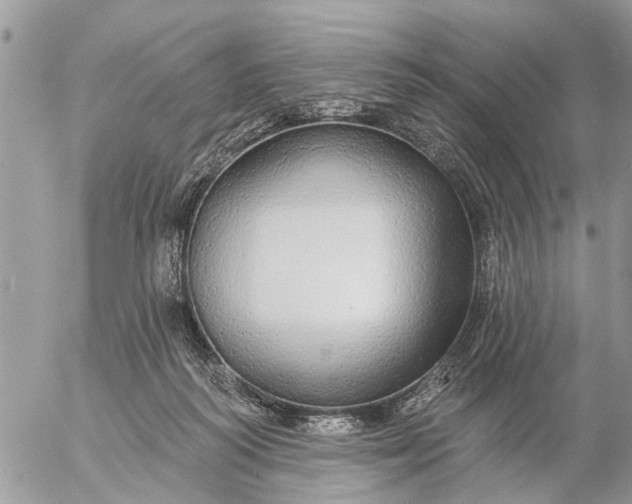 X0000057090218200509231658