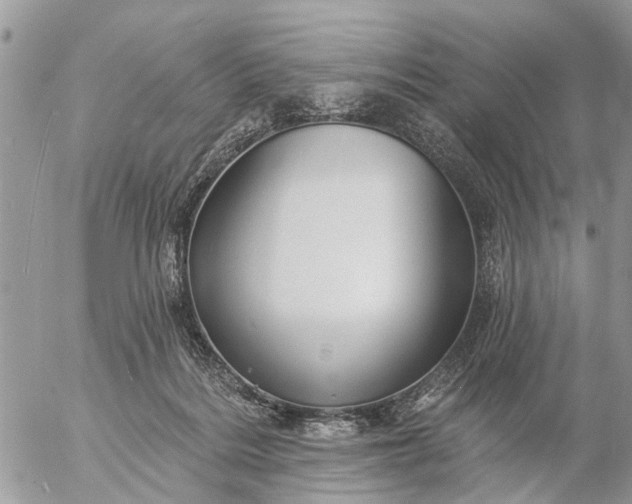 X0000057090220200509231658