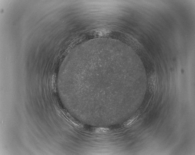 X0000057090222200509231658