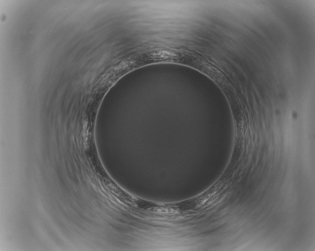 X0000057090223200509231658