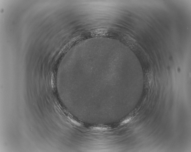 X0000057090224200509231658