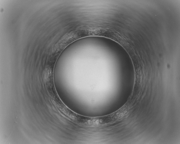 X0000057090225200509231658