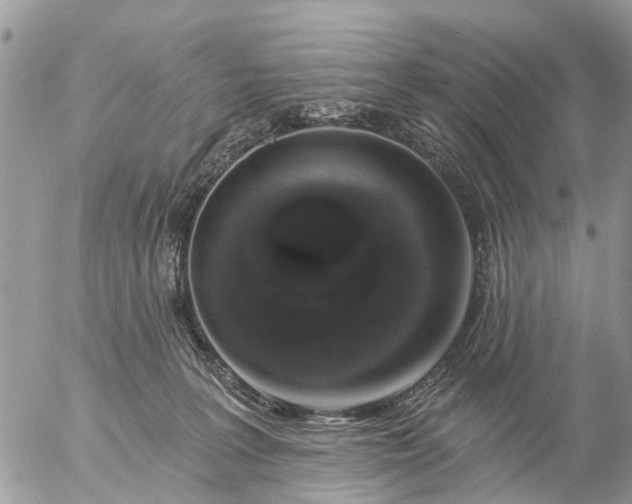 X0000057090227200509231658