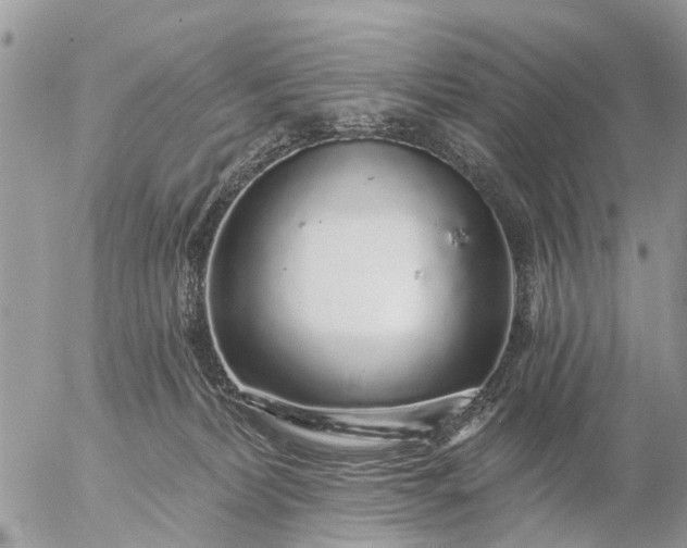 X0000057090228200509231658