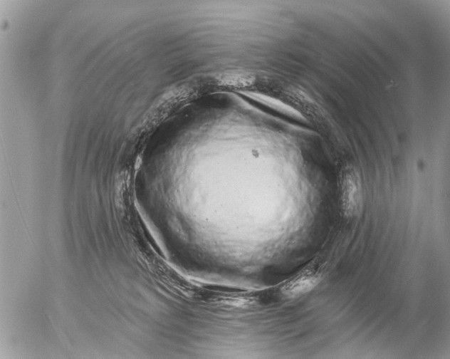 X0000057090229200509231658