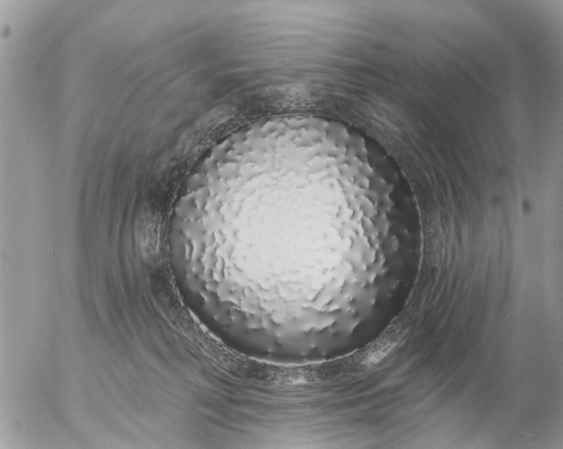 X0000057090230200509231658