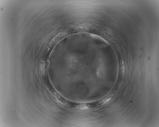 X0000057090231200509231658