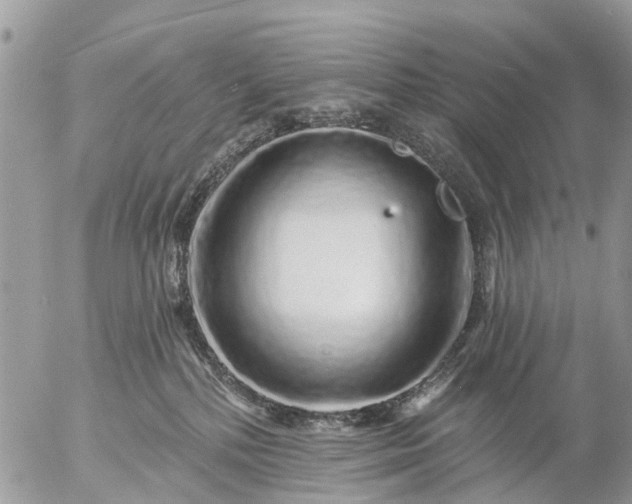 X0000057090232200509231658