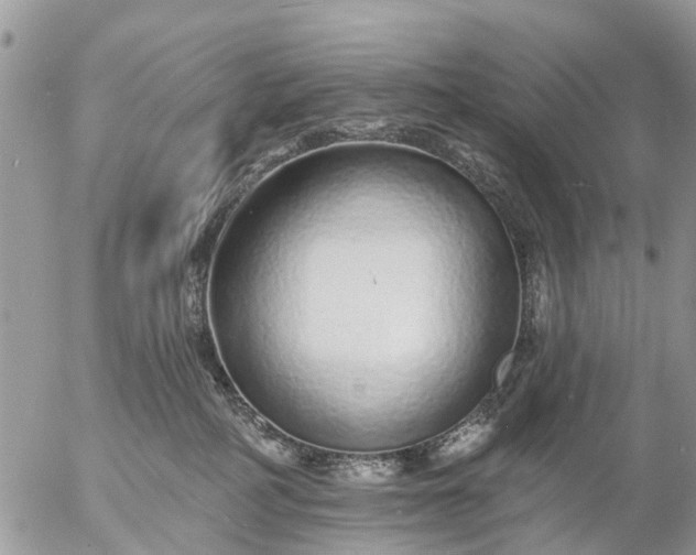 X0000057090234200509231658