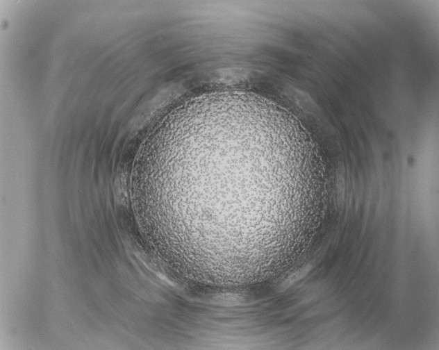 X0000057090236200509231658